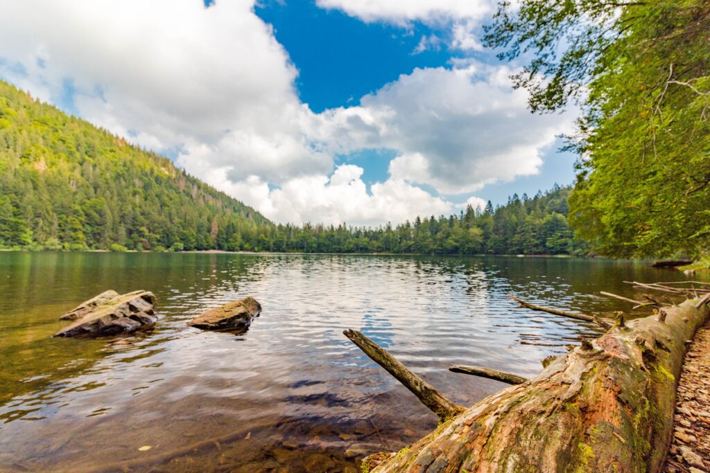 Ausflug Feldsee
Der Feldsee ist einer der beeindruckendsten Karseen Deutschlands – ein fast mystisch wirkender, kreisrunder Gletschersee direkt unter der steilen Nordostwand des Feldbergs. Er ist geologisch, ökologisch und landschaftlich so besonders, dass er zu den wertvollsten Naturschätzen des Schwarzwalds zählt.