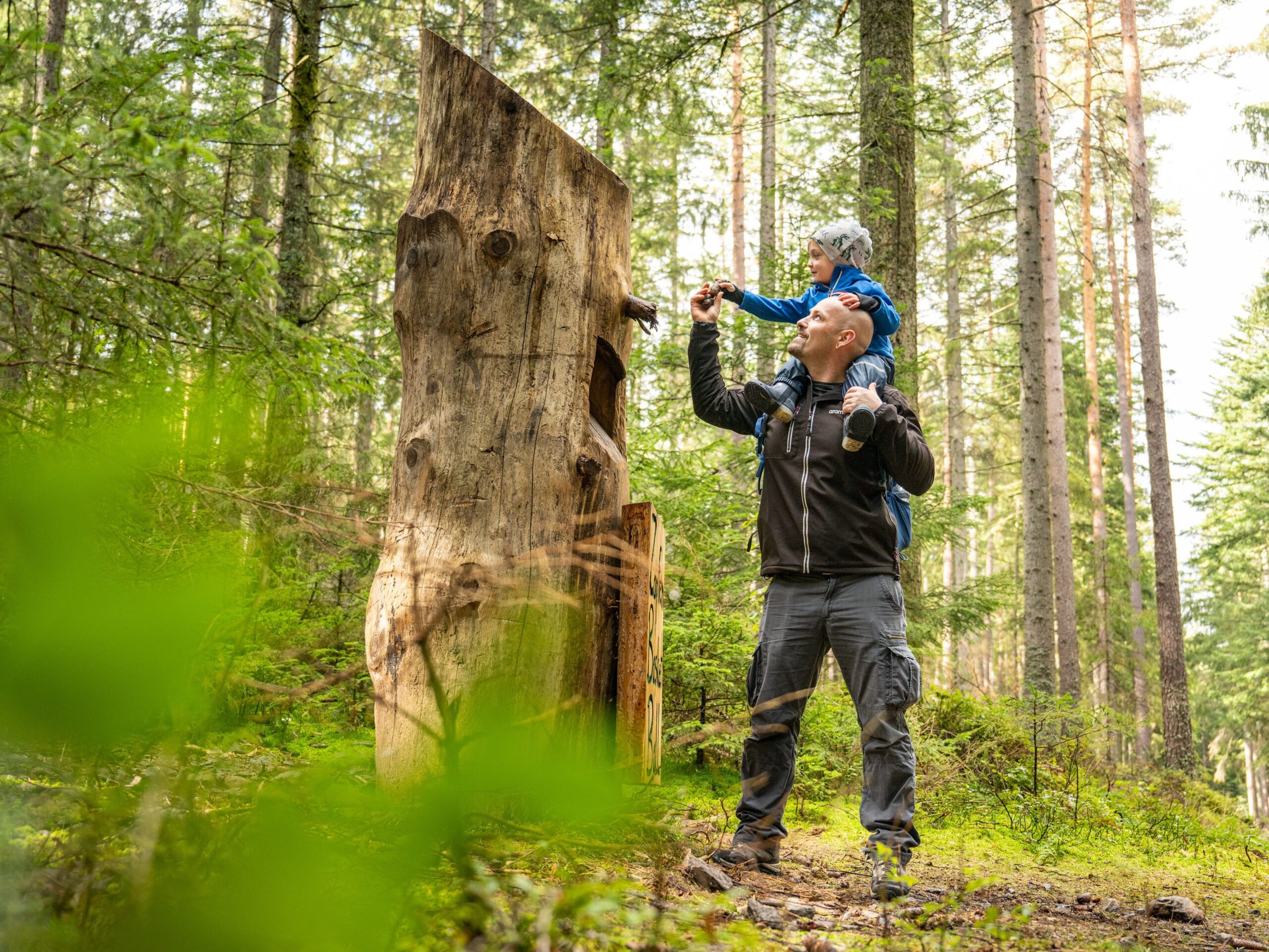 Unterkirnach Schwarzwald Natur Wanderweg erholung