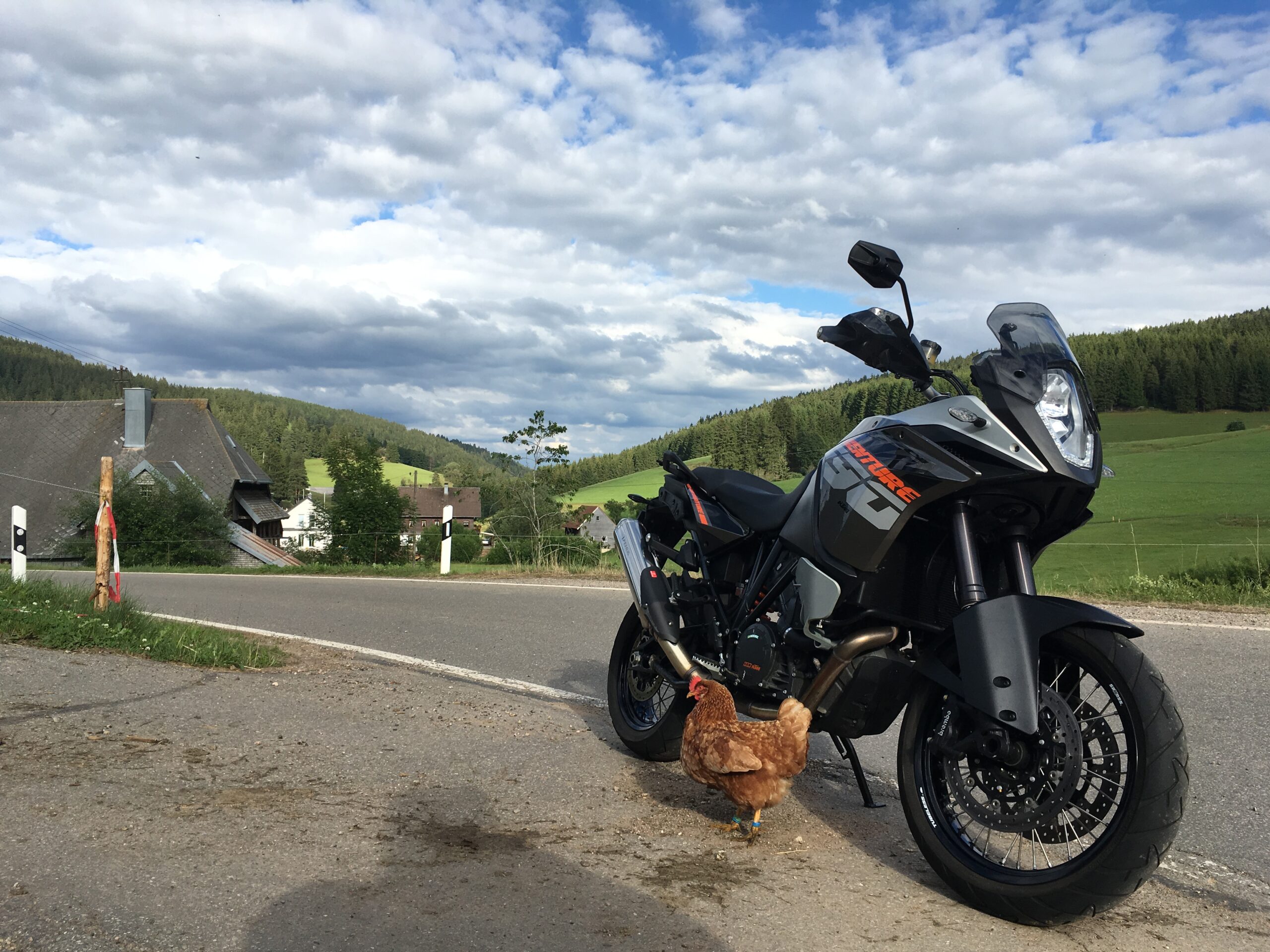 Motorrad fahren
Die kurvenreichen Straßen im Schwarzwald sind ein Paradies für Motorradfahrer. Abwechslungsreiche Strecken, weite Ausblicke und viele motorradfreundliche Gastgeber machen jede Tour besonders.