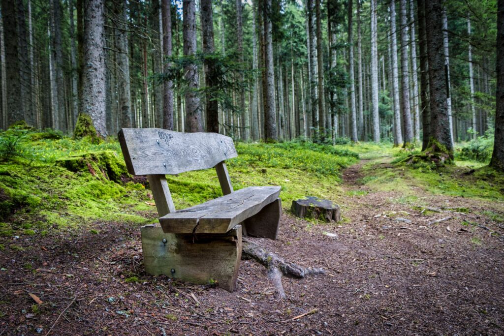 Tagesausflug: Wandern im Schwarzwald
Der Schwarzwald ist ein Paradies für Wanderer: 160 km lang, bis zu 60 km breit, Wälder im Norden, Fernblicke bis in die Alpen im Süden. Ob Frühling, Sommer, Herbst oder Winter: In der Ferienregion Schwarzwald sind das ganze Jahr über Wanderungen möglich. Zahlreiche Wanderwege befinden sich direkt vor der Haustüre.