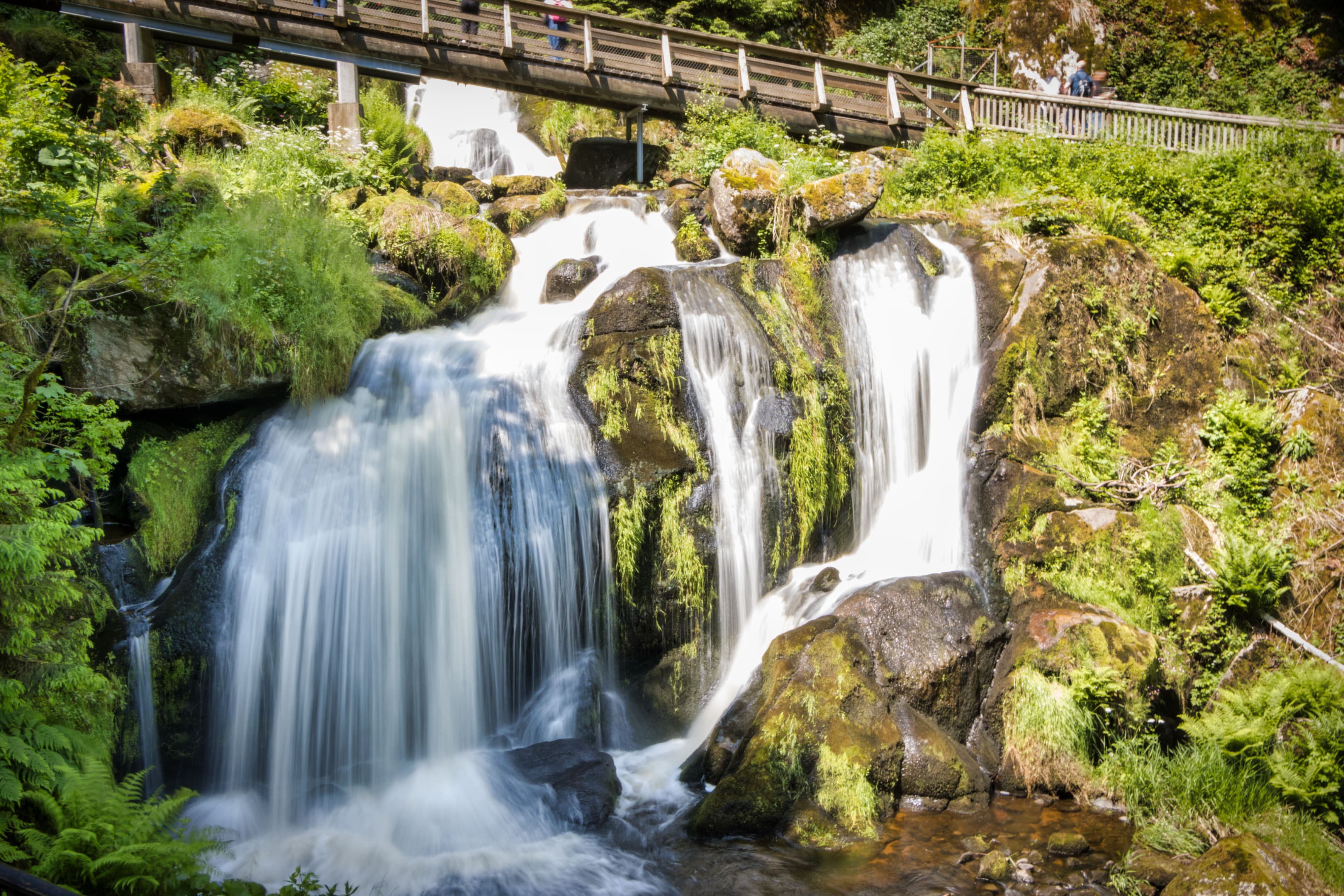 Tagesausflug: Triberger Wasserfälle
Eine ganz besondere Attraktion sind Deutschlands höchste Wasserfälle in Triberg. Schäumend und tosend stürzt das Wasser der Gutach in sieben Fallstufen 163 m hinunter ins Tal.