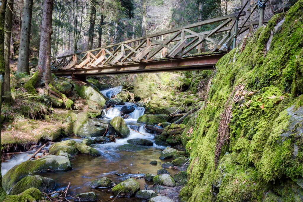 Ausflug Wutachschlucht "Grand Canyon von Deutschland"
Die Wutachschlucht im Südschwarzwald ist Deutschlands größter Canyon und eine der letzten ursprünglichen Wildflusslandschaften Mitteleuropas. Sie ist ein ca. 30 km langes, 60–170 m tiefes Naturschutzgebiet mit steilen Felswänden, dichtem Wald und Wasserfällen, das als beliebtes Wanderziel (u.a. Schluchtensteig) gilt.